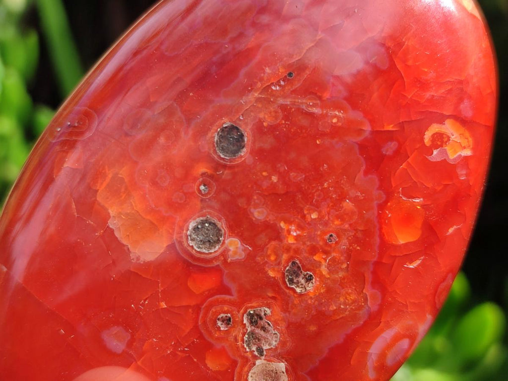 Polished Carnelian Agate Gemstone Standing Display Pieces x 5 From Madagascar - Toprock Gemstones and Minerals 