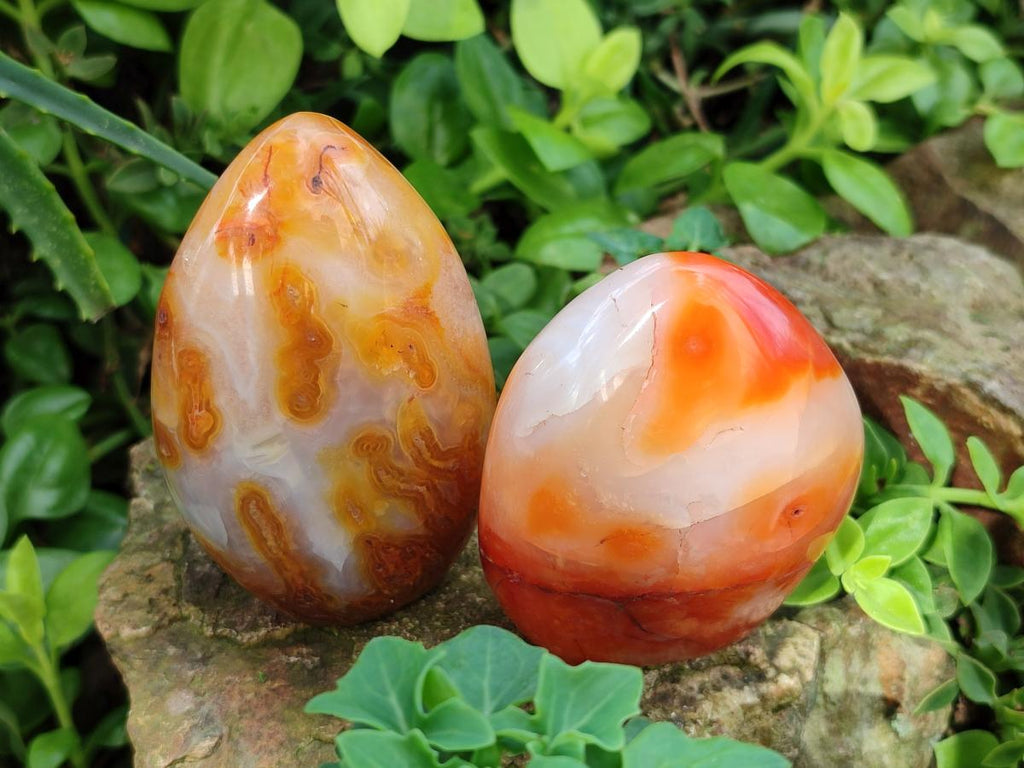 Polished Carnelian Agate Gemstone Standing Display Pieces x 5 From Madagascar - Toprock Gemstones and Minerals 
