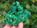 Natural Silky Malachite Specimens x 5 From Kasompe, Congo - Toprock Gemstones and Minerals 