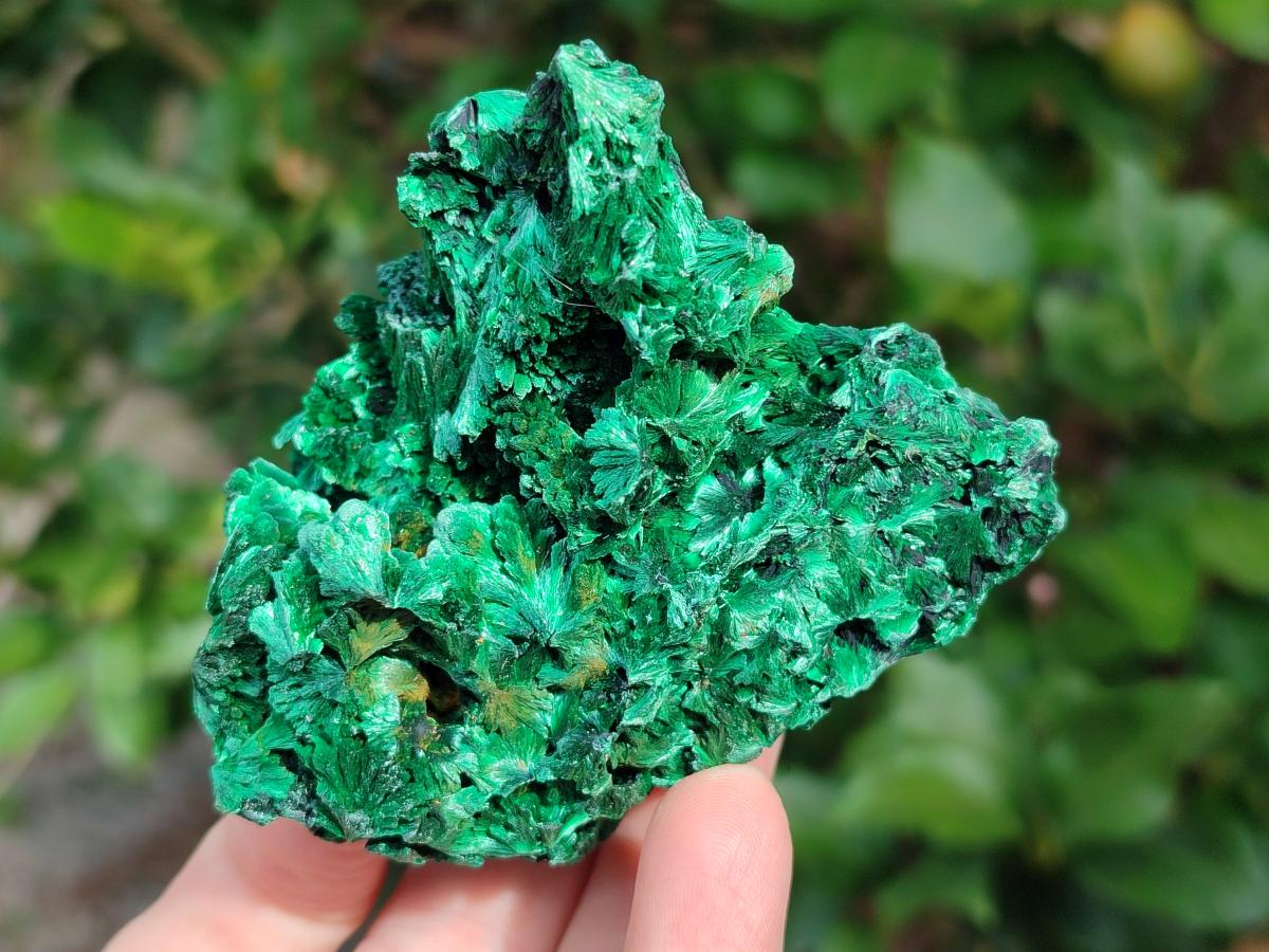 Natural Silky Malachite Specimens x 5 From Kasompe, Congo - Toprock Gemstones and Minerals 