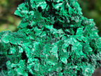 Natural Silky Malachite Specimens x 5 From Kasompe, Congo - Toprock Gemstones and Minerals 