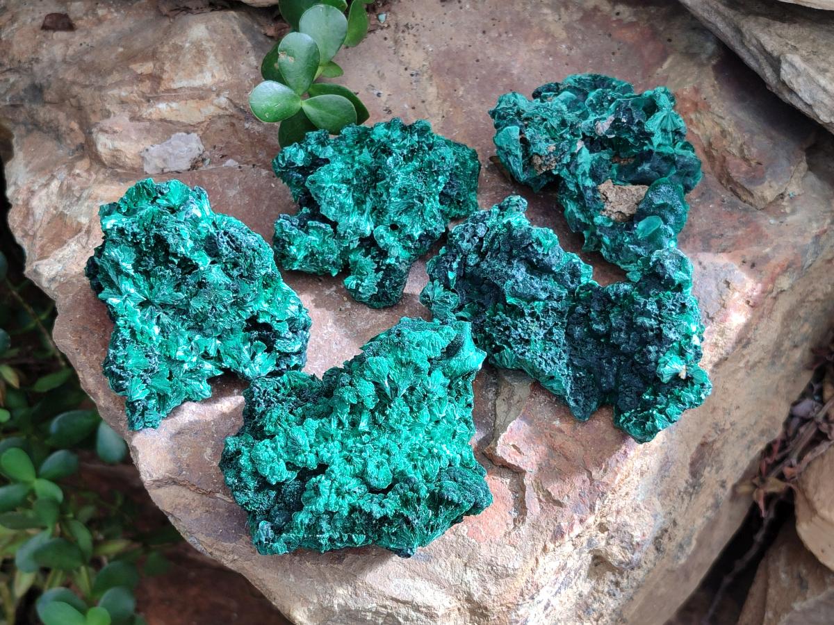 Natural Silky Malachite Specimens x 5 From Kasompe, Congo - Toprock Gemstones and Minerals 