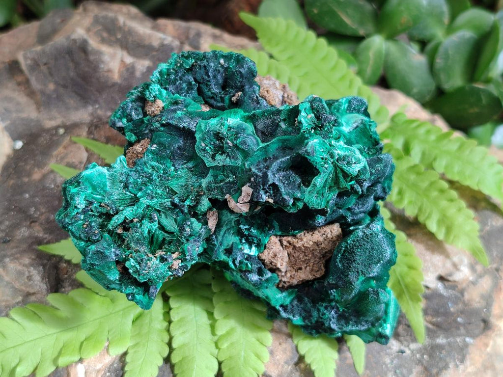 Natural Silky Malachite Specimens x 5 From Kasompe, Congo - Toprock Gemstones and Minerals 