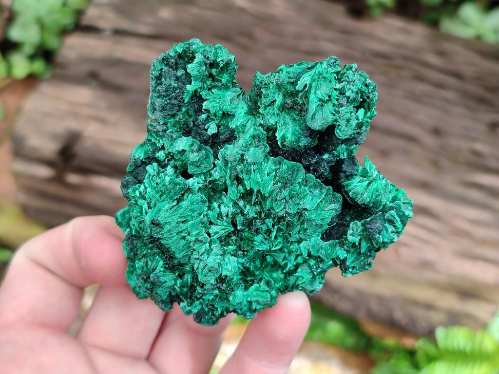 Natural Silky Malachite Specimens x 5 From Kasompe, Congo - Toprock Gemstones and Minerals 