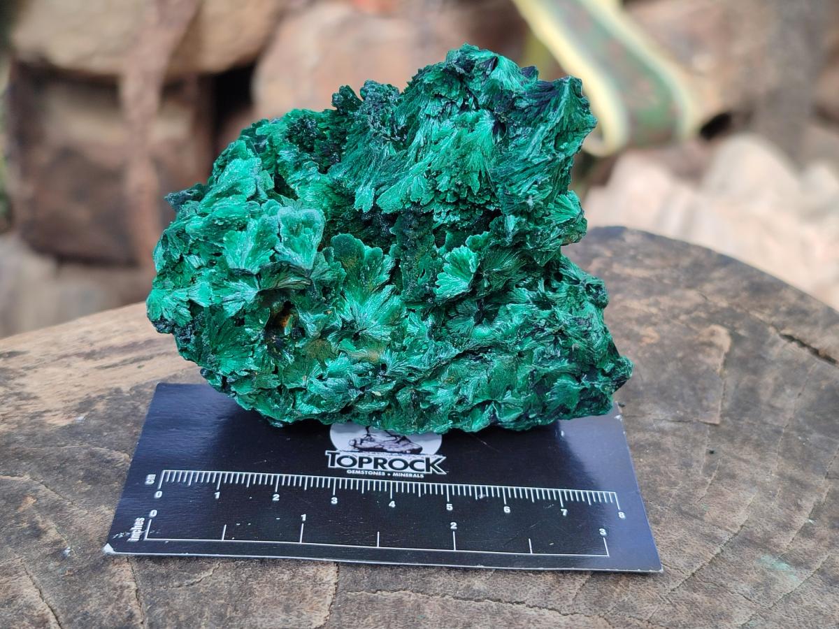 Natural Silky Malachite Specimens x 5 From Kasompe, Congo - Toprock Gemstones and Minerals 