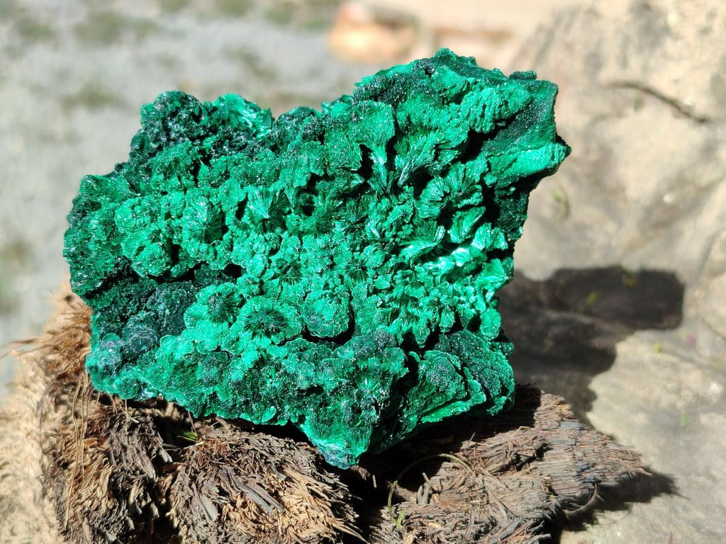 Natural Silky Malachite Specimens x 5 From Kasompe, Congo - Toprock Gemstones and Minerals 