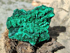 Natural Silky Malachite Specimens x 5 From Kasompe, Congo - Toprock Gemstones and Minerals 