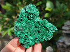 Natural Silky Malachite Specimens x 5 From Kasompe, Congo - Toprock Gemstones and Minerals 