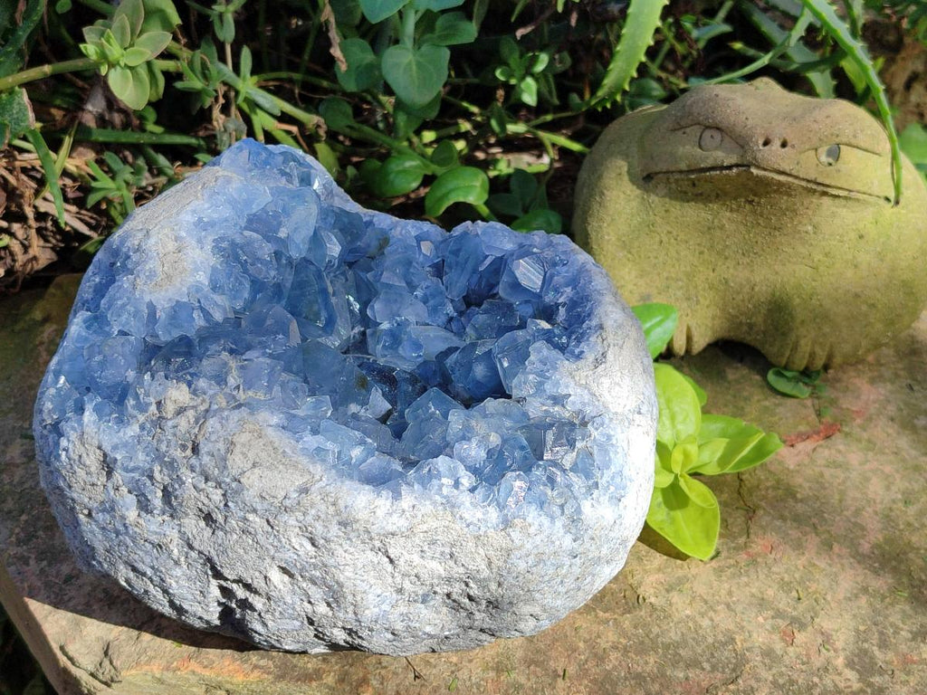 Natural XL Blue Celestite Geode Specimen x 1` From Sakoany, Madagascar - Toprock Gemstones and Minerals 