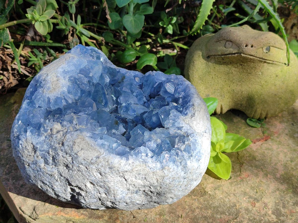 Natural XL Blue Celestite Geode Specimen x 1` From Sakoany, Madagascar - Toprock Gemstones and Minerals 