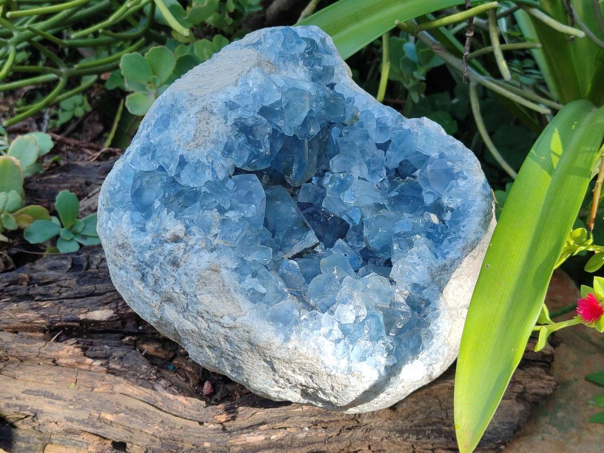 Natural XL Blue Celestite Geode Specimen x 1` From Sakoany, Madagascar - Toprock Gemstones and Minerals 