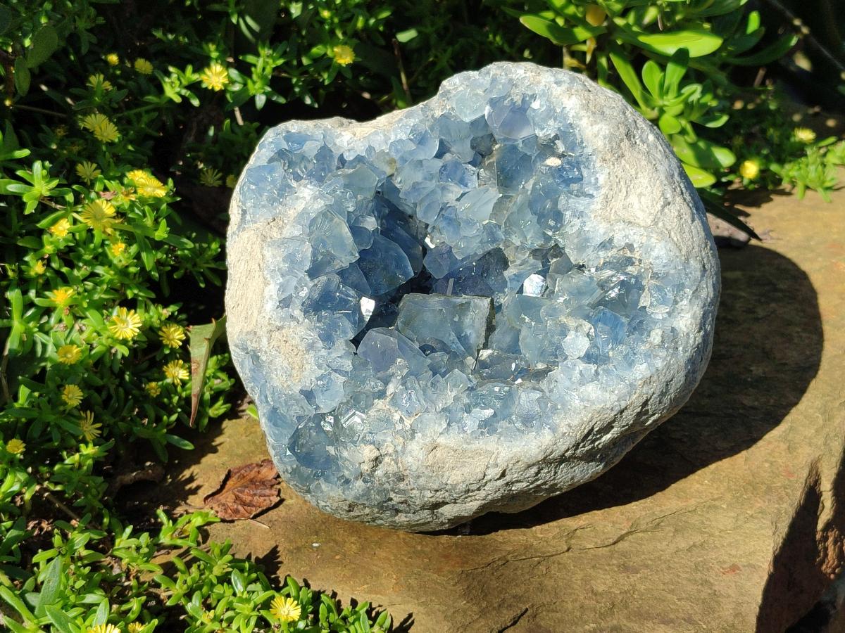 Natural XL Blue Celestite Geode Specimen x 1` From Sakoany, Madagascar - Toprock Gemstones and Minerals 