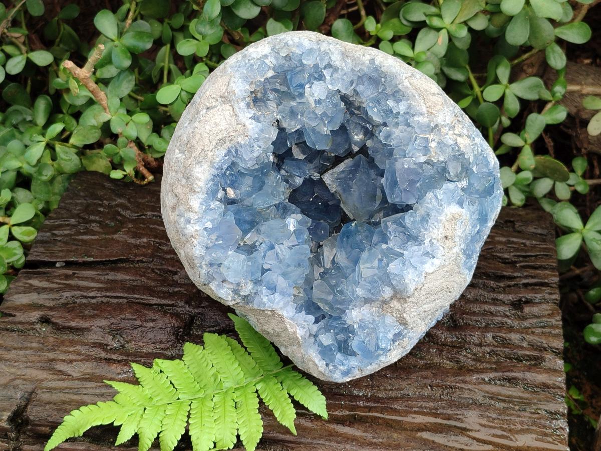 Natural XL Blue Celestite Geode Specimen x 1` From Sakoany, Madagascar - Toprock Gemstones and Minerals 