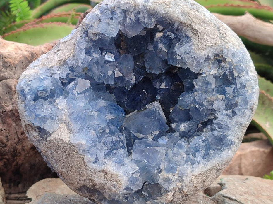 Natural XL Blue Celestite Geode Specimen x 1` From Sakoany, Madagascar - Toprock Gemstones and Minerals 