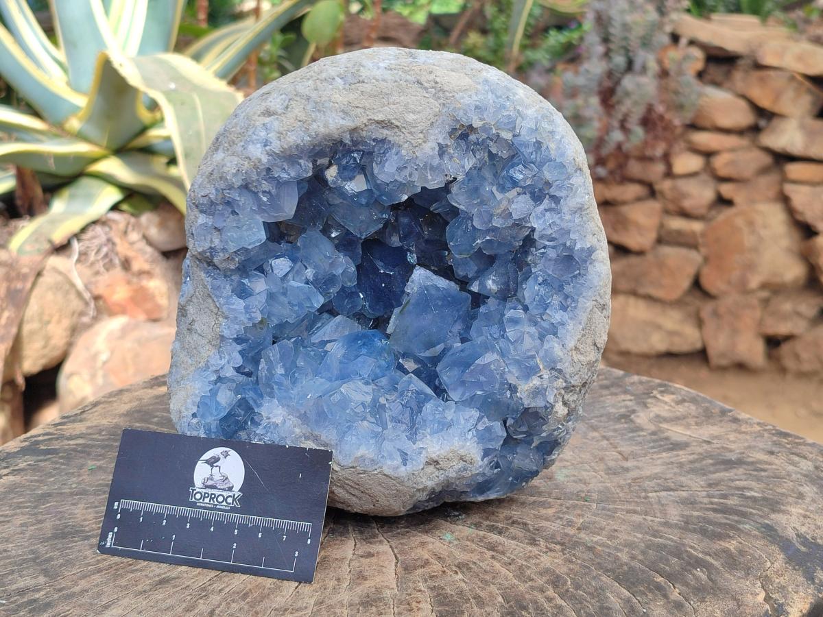 Natural XL Blue Celestite Geode Specimen x 1` From Sakoany, Madagascar - Toprock Gemstones and Minerals 