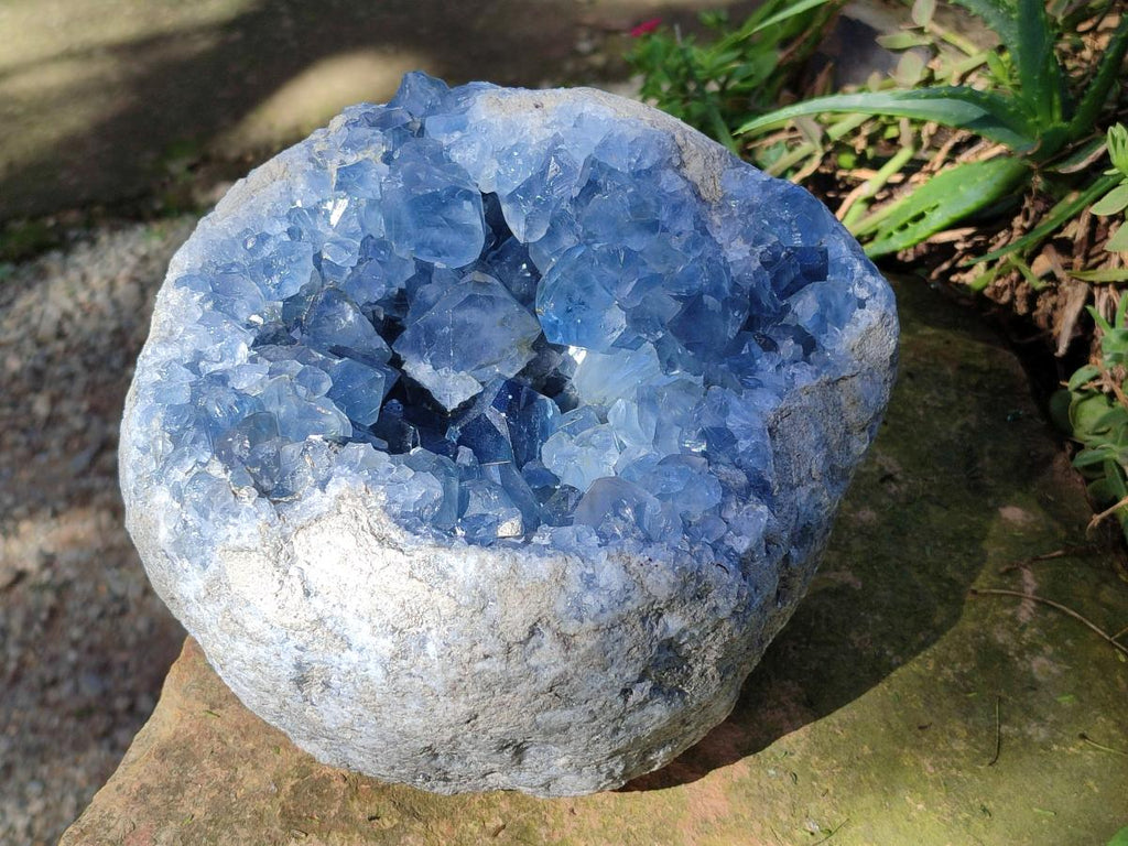 Natural XL Blue Celestite Geode Specimen x 1` From Sakoany, Madagascar - Toprock Gemstones and Minerals 