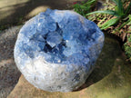 Natural XL Blue Celestite Geode Specimen x 1` From Sakoany, Madagascar - Toprock Gemstones and Minerals 