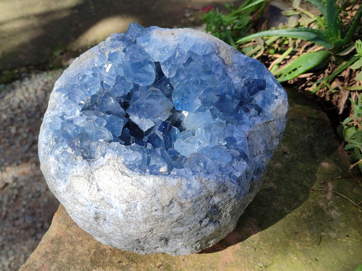 Natural XL Blue Celestite Geode Specimen x 1` From Sakoany, Madagascar - Toprock Gemstones and Minerals 