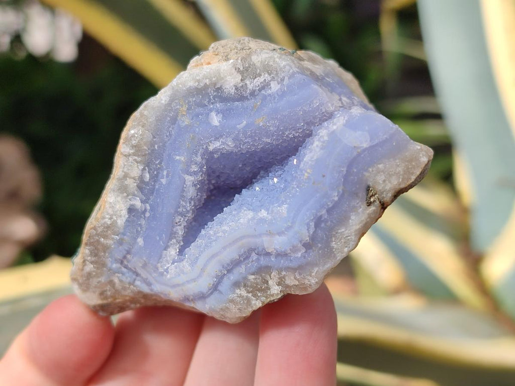 Natural Blue Lace Agate Geode Specimens x 24 From Nsanje, Malawi - Toprock Gemstones and Minerals 