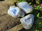 Natural Blue Lace Agate Geode Specimens x 24 From Nsanje, Malawi - Toprock Gemstones and Minerals 