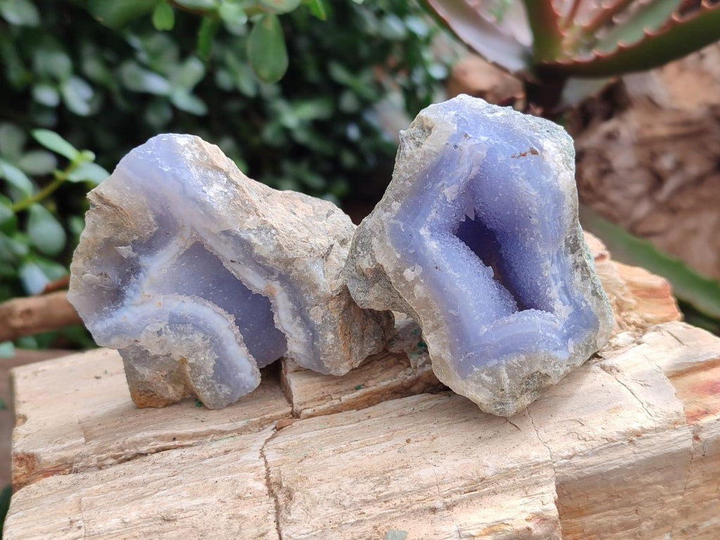 Natural Blue Lace Agate Geode Specimens x 24 From Nsanje, Malawi - Toprock Gemstones and Minerals 