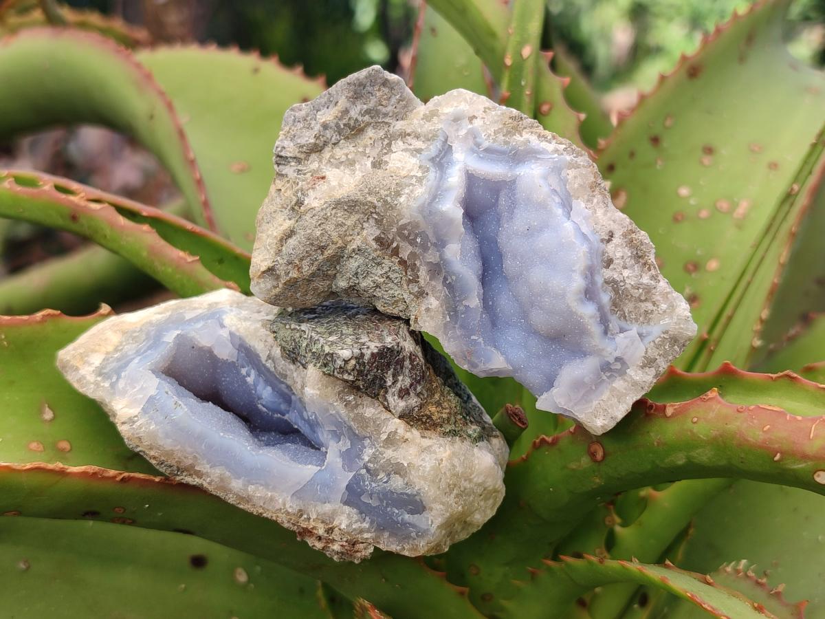 Natural Blue Lace Agate Geode Specimens x 24 From Nsanje, Malawi - Toprock Gemstones and Minerals 