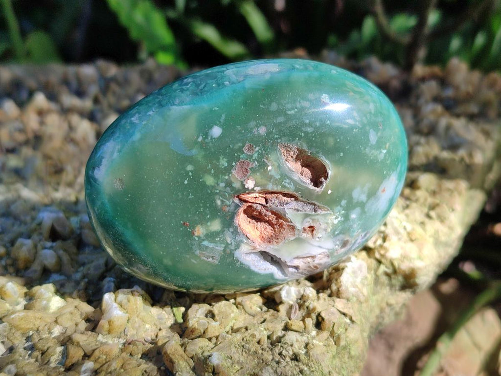 Polished Super Rare Mtorolite Free Forms x 12 From Mutorashanga, Zimbabwe - Toprock Gemstones and Minerals 