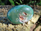 Polished Super Rare Mtorolite Free Forms x 12 From Mutorashanga, Zimbabwe - Toprock Gemstones and Minerals 