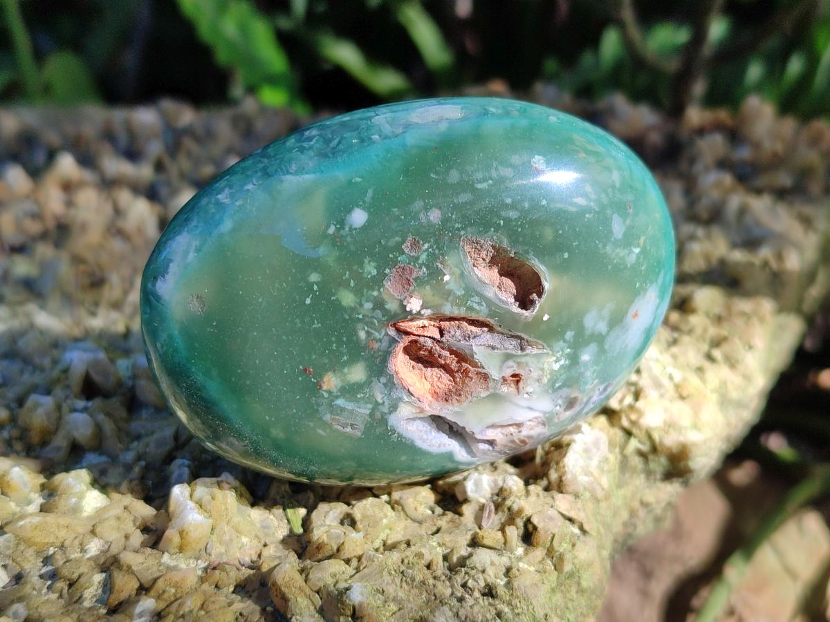 Polished Super Rare Mtorolite Free Forms x 12 From Mutorashanga, Zimbabwe - Toprock Gemstones and Minerals 