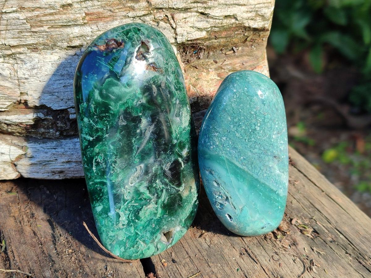 Polished Super Rare Mtorolite Free Forms x 12 From Mutorashanga, Zimbabwe - Toprock Gemstones and Minerals 