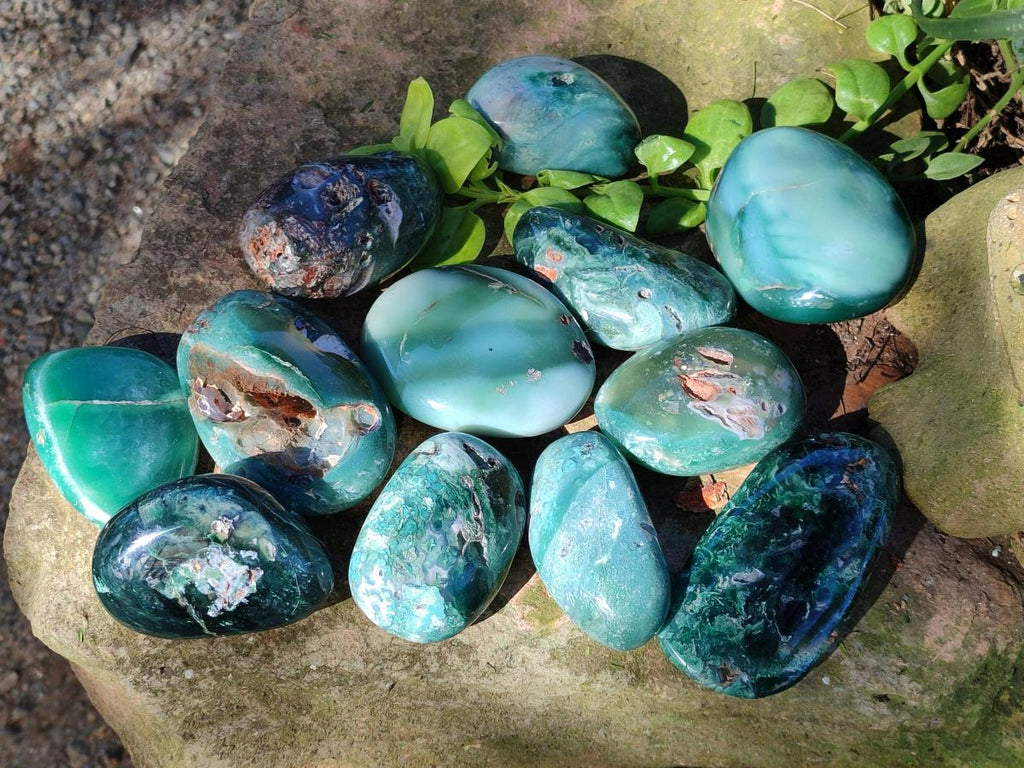 Polished Super Rare Mtorolite Free Forms x 12 From Mutorashanga, Zimbabwe - Toprock Gemstones and Minerals 