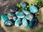 Polished Super Rare Mtorolite Free Forms x 12 From Mutorashanga, Zimbabwe - Toprock Gemstones and Minerals 