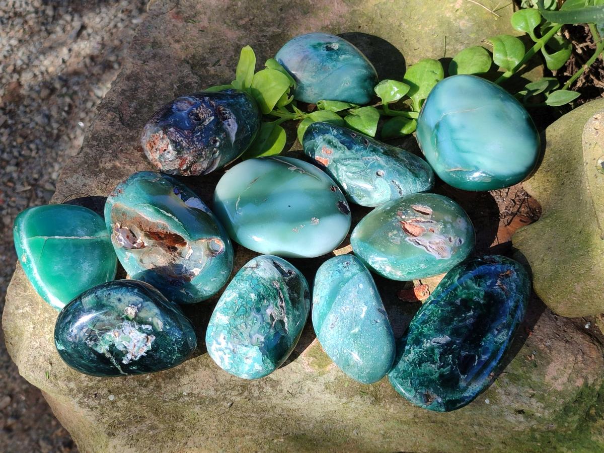 Polished Super Rare Mtorolite Free Forms x 12 From Mutorashanga, Zimbabwe - Toprock Gemstones and Minerals 