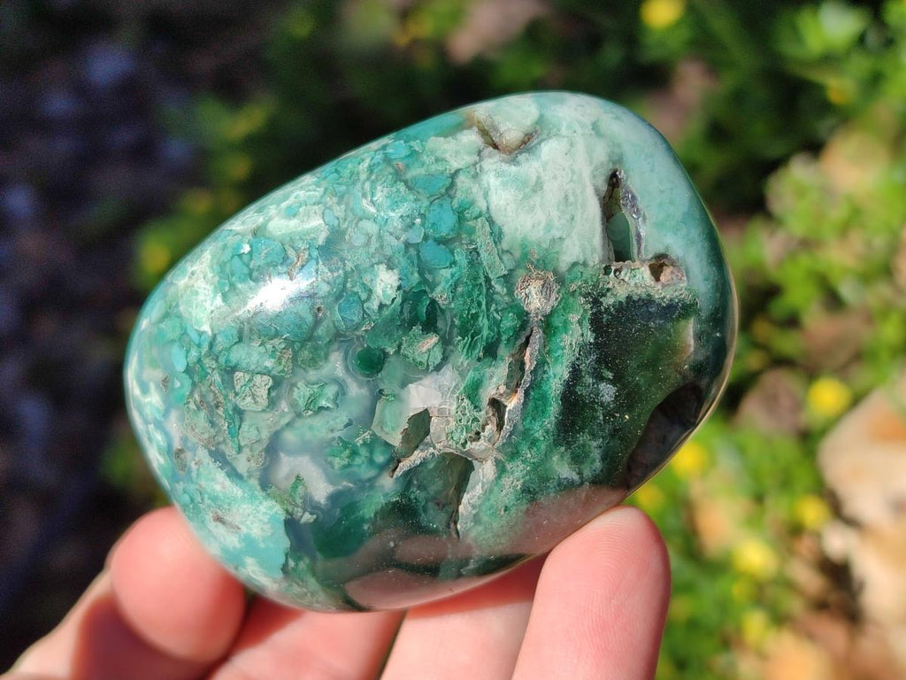 Polished Super Rare Mtorolite Free Forms x 12 From Mutorashanga, Zimbabwe - Toprock Gemstones and Minerals 