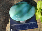 Polished Super Rare Mtorolite Free Forms x 12 From Mutorashanga, Zimbabwe - Toprock Gemstones and Minerals 