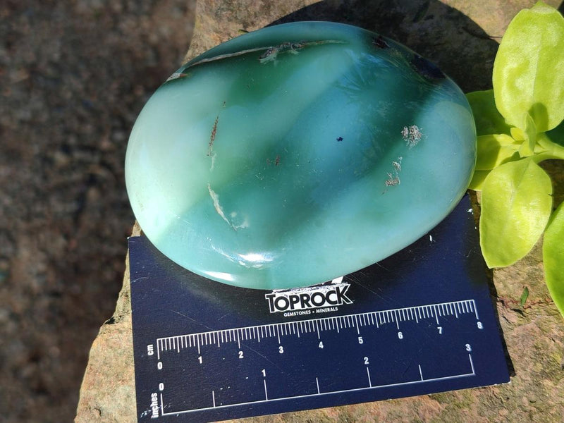 Polished Super Rare Mtorolite Free Forms x 12 From Mutorashanga, Zimbabwe - Toprock Gemstones and Minerals 