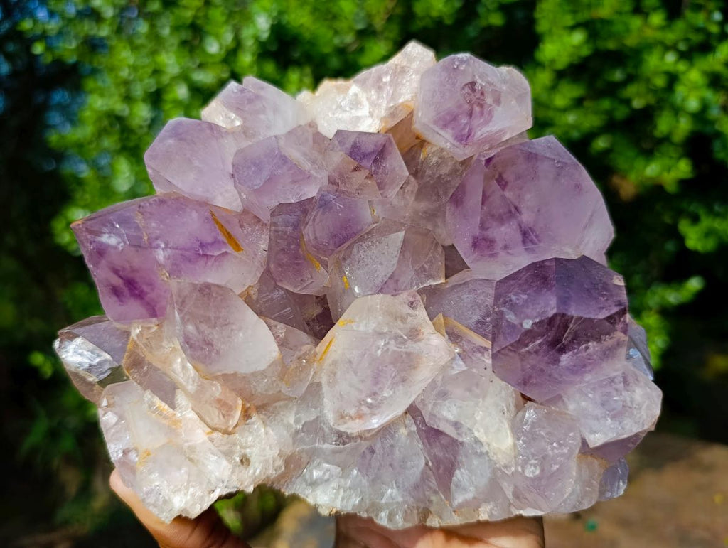 Natural Large Jacaranda Amethyst Crystal Cluster x 1 From Mumbwa, Zambia - Toprock Gemstones and Minerals 