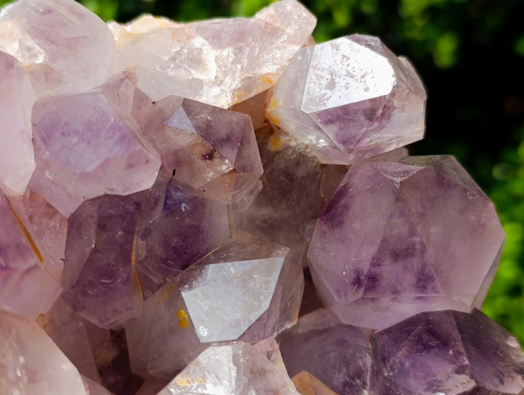 Natural Large Jacaranda Amethyst Crystal Cluster x 1 From Mumbwa, Zambia - Toprock Gemstones and Minerals 