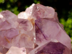 Natural Large Jacaranda Amethyst Crystal Cluster x 1 From Mumbwa, Zambia - Toprock Gemstones and Minerals 