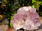 Natural Large Jacaranda Amethyst Crystal Cluster x 1 From Mumbwa, Zambia - Toprock Gemstones and Minerals 
