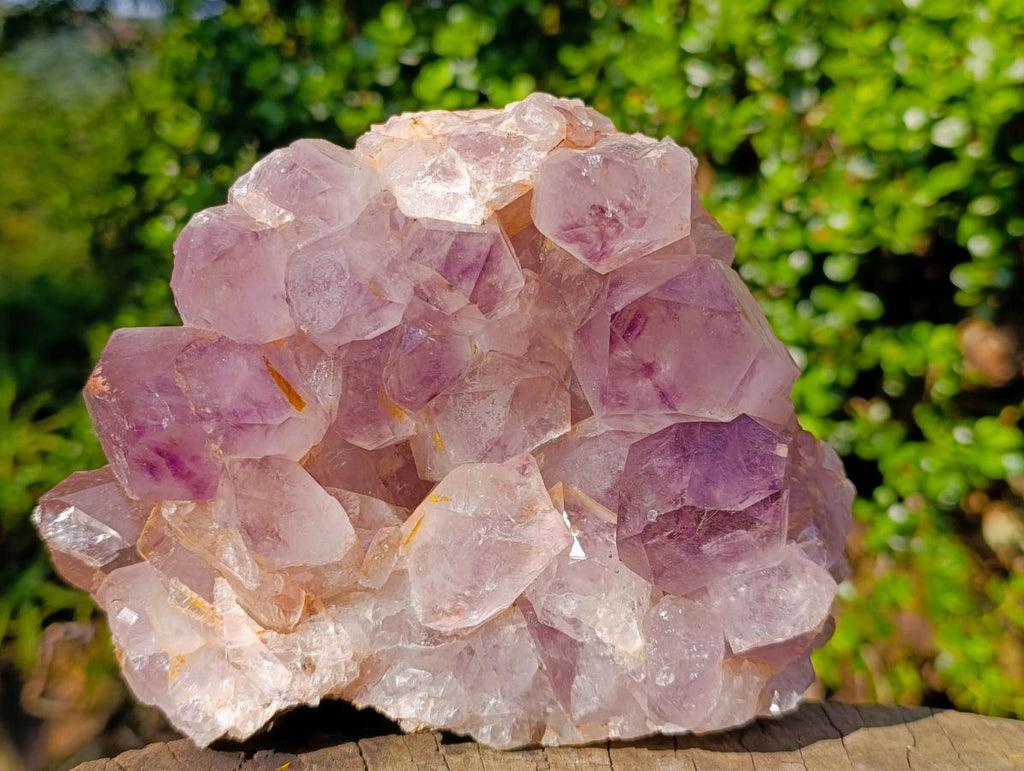 Natural Large Jacaranda Amethyst Crystal Cluster x 1 From Mumbwa, Zambia - Toprock Gemstones and Minerals 