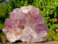 Natural Large Jacaranda Amethyst Crystal Cluster x 1 From Mumbwa, Zambia - Toprock Gemstones and Minerals 