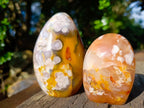 Polished Flower Agate Standing Display Pieces x 4 From Antsahalova, Madagascar - Toprock Gemstones and Minerals 