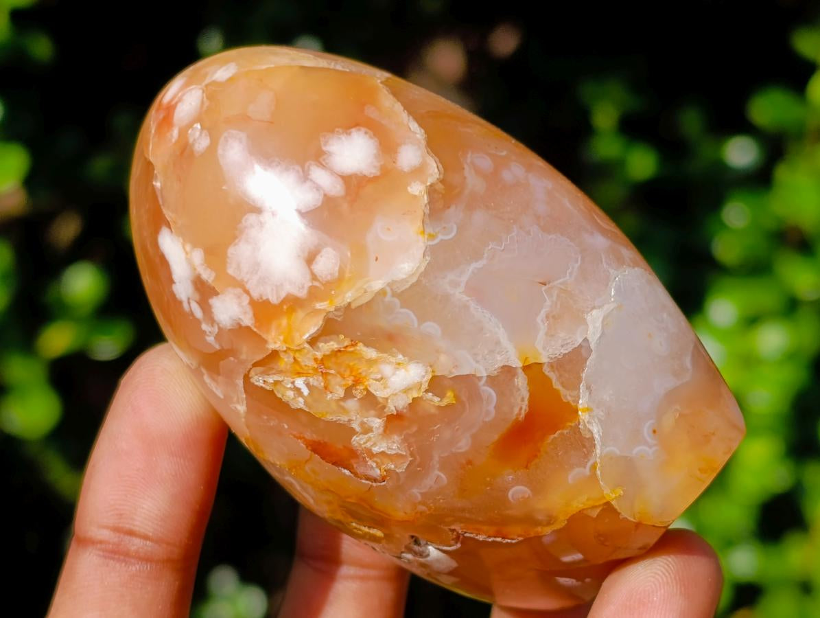 Polished Flower Agate Standing Display Pieces x 4 From Antsahalova, Madagascar - Toprock Gemstones and Minerals 