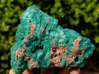 Natural Botryoidal Malachite Specimens x 2 From Congo - Toprock Gemstones and Minerals 