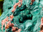 Natural Botryoidal Malachite Specimens x 2 From Congo - Toprock Gemstones and Minerals 