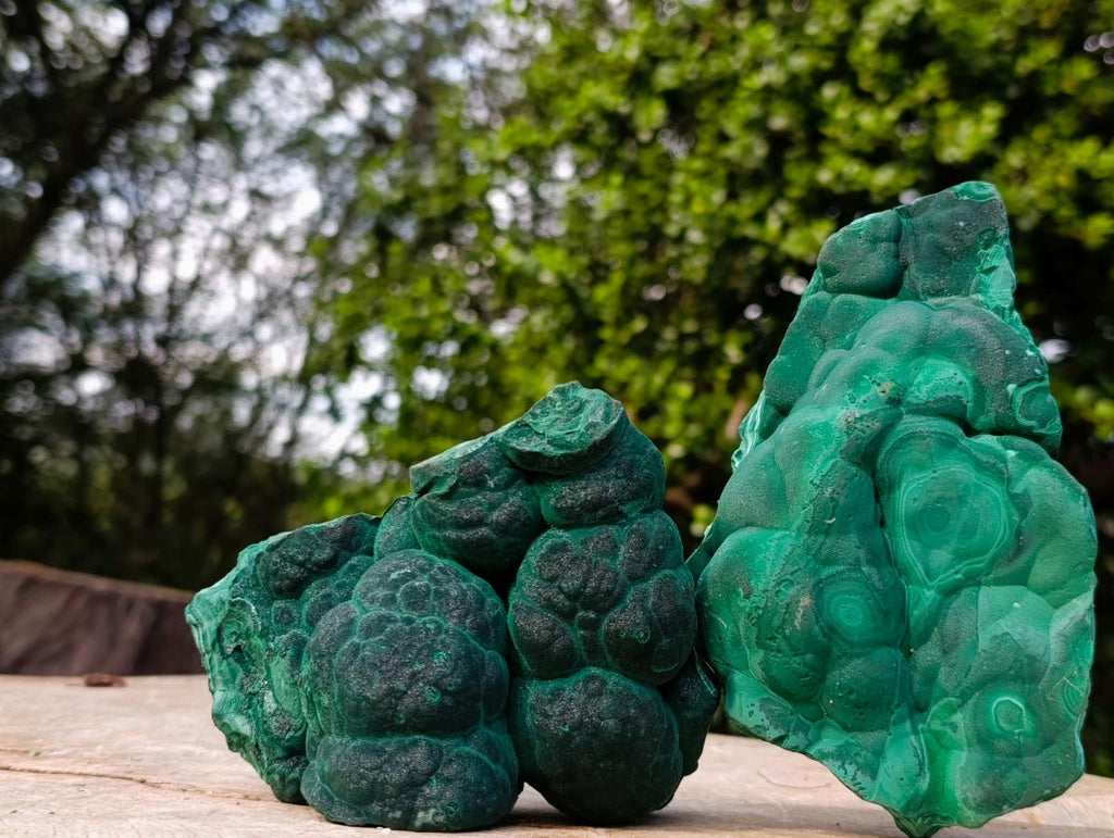Natural Botryoidal Malachite Specimens x 2 From Congo - Toprock Gemstones and Minerals 