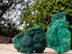 Natural Botryoidal Malachite Specimens x 2 From Congo - Toprock Gemstones and Minerals 