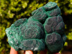 Natural Botryoidal Malachite Specimens x 2 From Congo - Toprock Gemstones and Minerals 