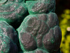 Natural Botryoidal Malachite Specimens x 2 From Congo - Toprock Gemstones and Minerals 